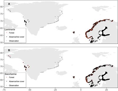 Kelp Forest Distribution in the Nordic Region